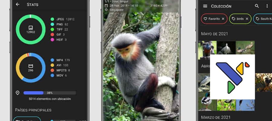Aves Galería: Explora tus Recuerdos en Estilo